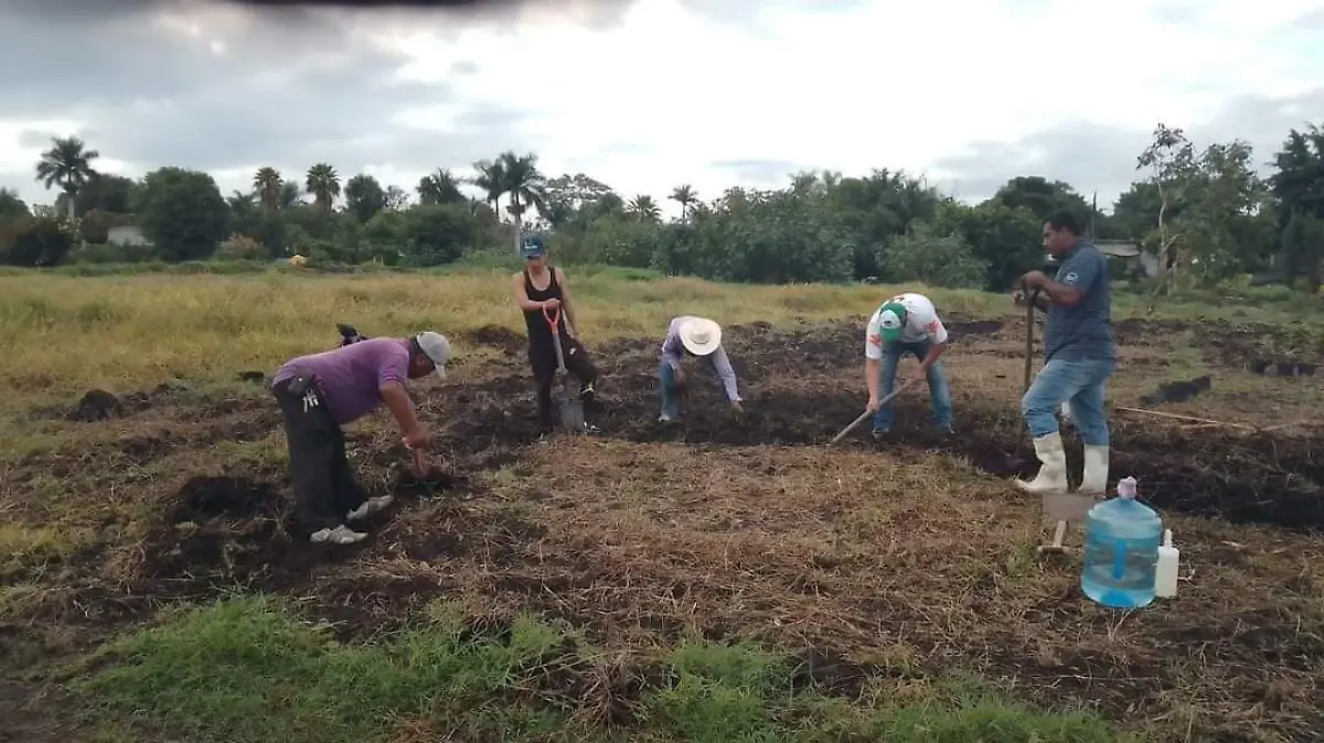 plantacion-marihuana-cortesía (2)